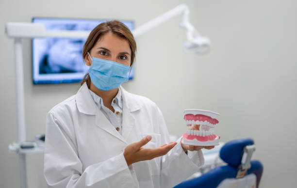Best Emergency Dental Services for Seniors in Mango, FL